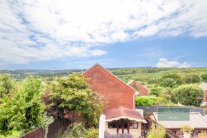 Photo 14- click for photo gallery